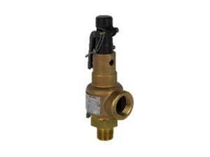 Safety Valve ¾” x 1”, set at 100 psi