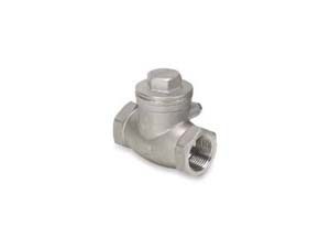 Check Valve, 1″ Swing, SS