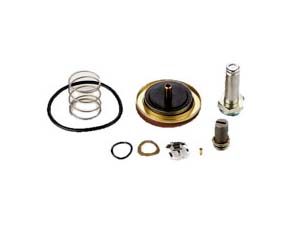 Rebuild Kit, Solenoid Valve, 1”, Steam