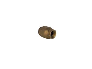 Check Valve, Spring, 3/4”