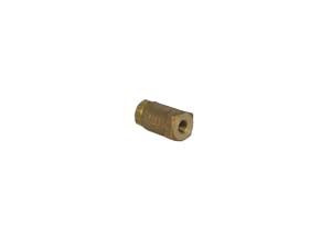 Check Valve, Spring, 1/4”